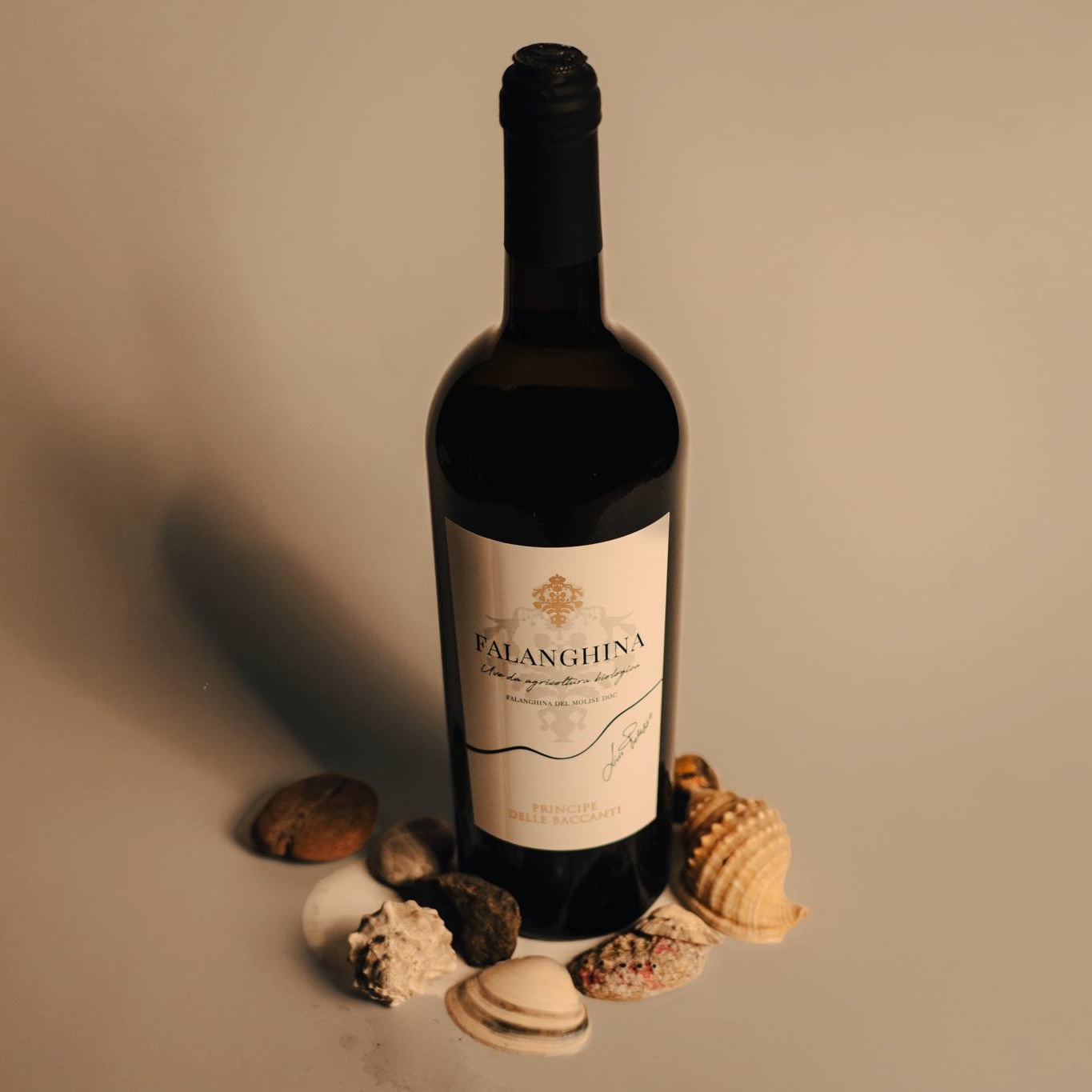 Falanghina del Molise DOC 2022